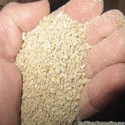 Herbal Poultry Feed Supplement