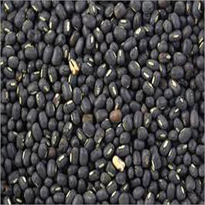 Whole Black Gram
