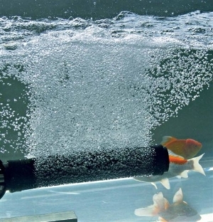 Ozone Bubble Diffusers