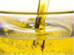 Non Edible & Edible Oil