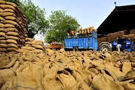 Wheat and Wheat Product