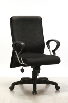 Executive Portable Chair