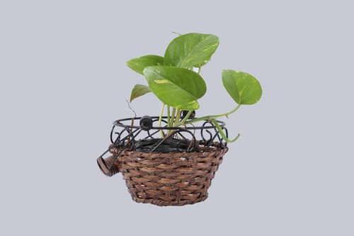 ROUND HANGING PLANTER