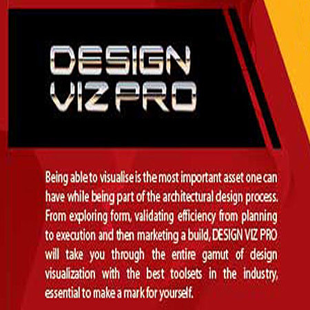 Design VizPro (6 Months)