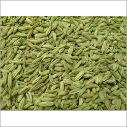 Seeds