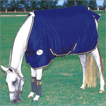 Outdoor Rugs