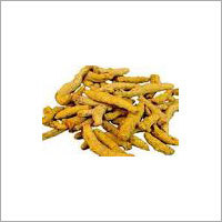 Turmeric Finger
