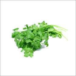 Coriander Leaves