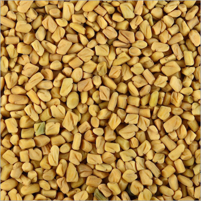 Fenugreek Seeds