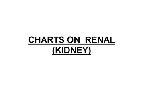 Charts On  Renal (Kidney)