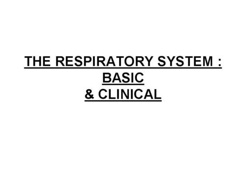 The Respiratory System : Basic  & Clinical