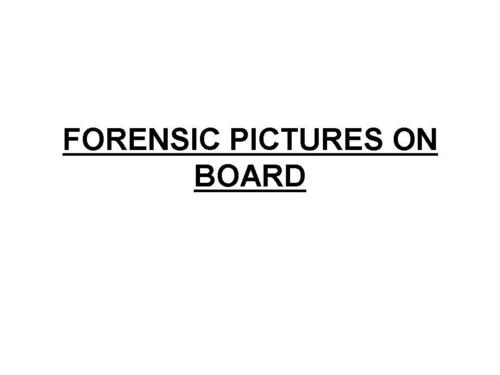 Forensic Pictures On Board