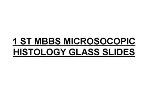 Histology Glass Slides  Warranty: 6 Months
