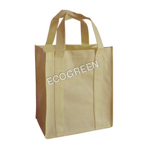 Natural Cotton Canvas Bag