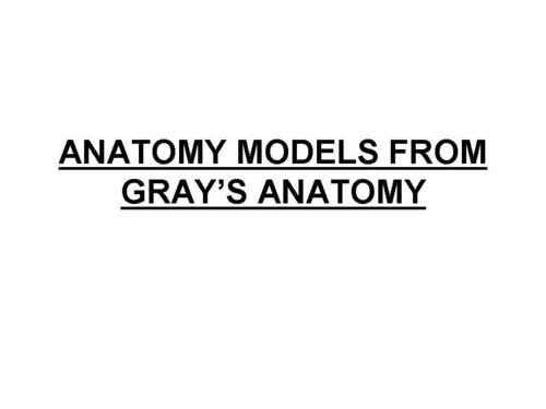 Models on Anatomy