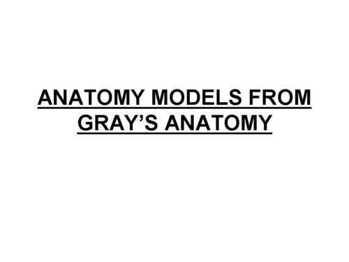 ANATOMY MODELS FROM GRAYS ANATOMY 