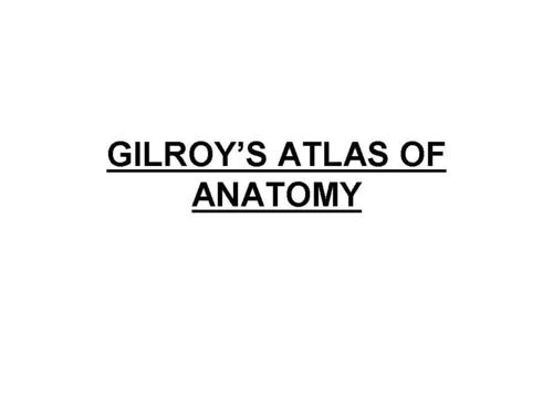 Gilroys Atlas Of Anatomy