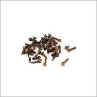 Black Cloves