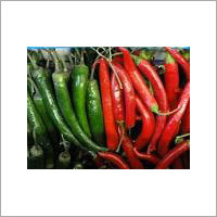 Indian Chillies