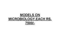Microbiology Models - Color: White