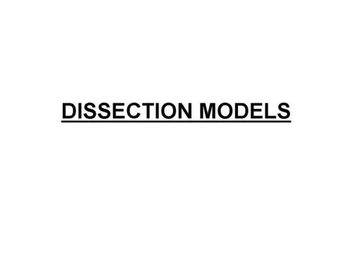 White Dissection