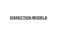 Dissection