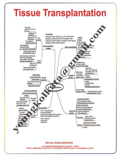 Charts On Pathology. Mind Maps In Pathology - Color: White And Black