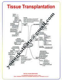 CHARTS ON PATHOLOGY. MIND MAPS IN PATHOLOGY
