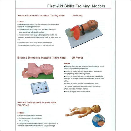 First Aid Skills Training Models 8