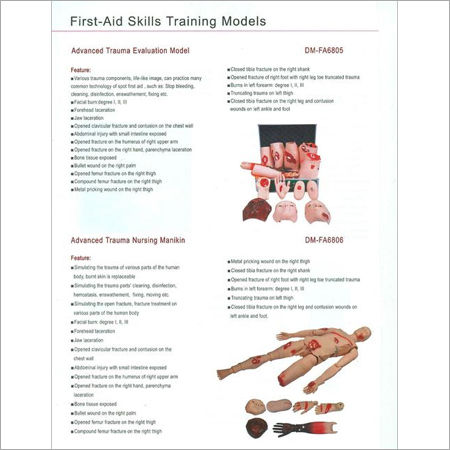 FIRST AID SKILLS TRAINING MODELS 11