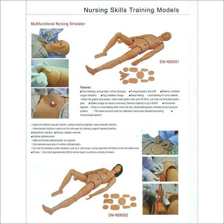 FIRST AID SKILLS TRAINING MODELS 14