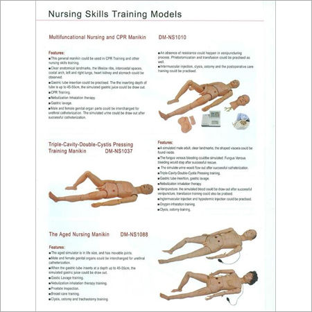 First Aid Skills Training Models 15