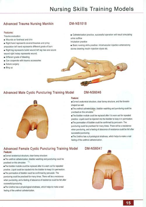 First Aid Skills Training Models 16