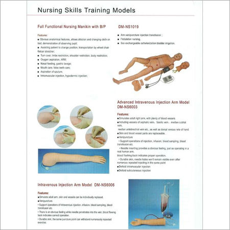 First Aid Skills Training Models 17