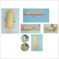 FIRST AID SKILLS TRAINING MODELS 20