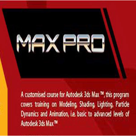 Max Pro (6 Months)