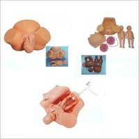 FIRST AID SKILLS TRAINING MODELS 35