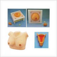FIRST AID SKILLS TRAINING MODELS 38