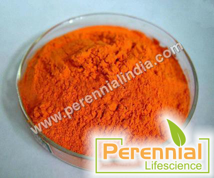 Nature Food Color Curcumin