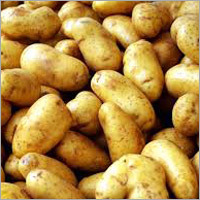 Fresh Potato