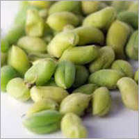 Green Chickpeas
