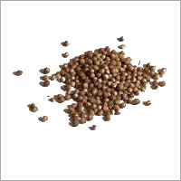 Brown Chickpeas