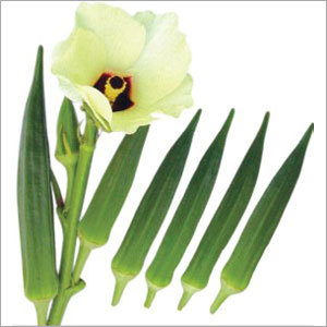 Hyb Ananya Gold 2001