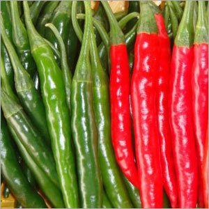 Hyb Radha - 6-8cm Green/Red Chilli, 1.0cm Diameter | High Yield, Uniform Shape, Pungent Taste, Eco-Friendly, Dual Purpose