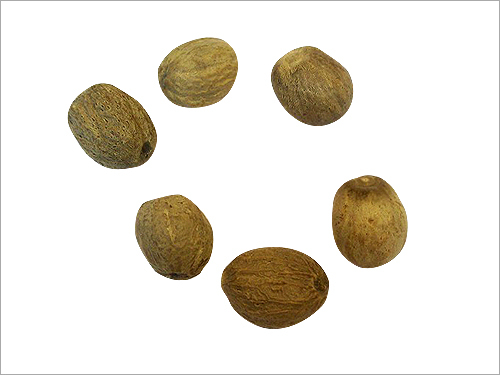 Jaifal Nutmeg