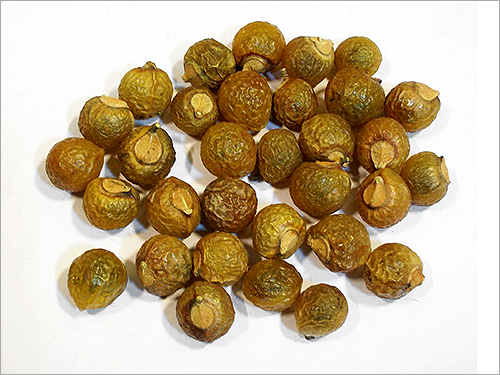 Ritha Soapnut