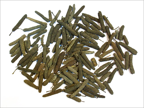 Peepal Long Pepper