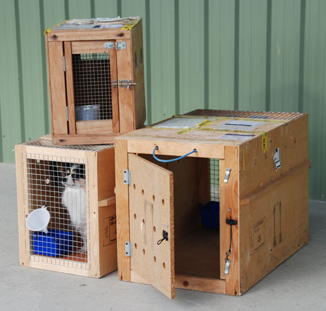 Pet Relocation Services - Wood, Variable Size, Multiple Doors | Hassle-Free Administration, Reliable Service, Safe Transport, On-Time Delivery, Pet Care