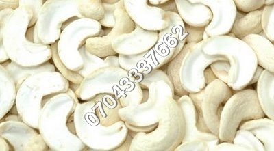 Cashew Nut