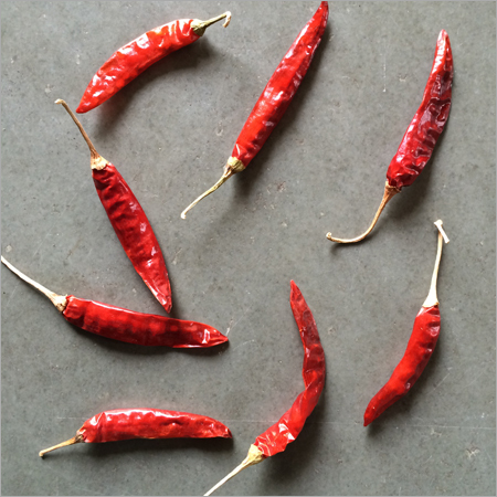 Guntur 334 Chilli